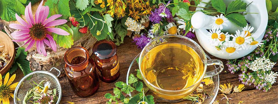 ハーブ栽培・園芸ライフ-クリエイポット