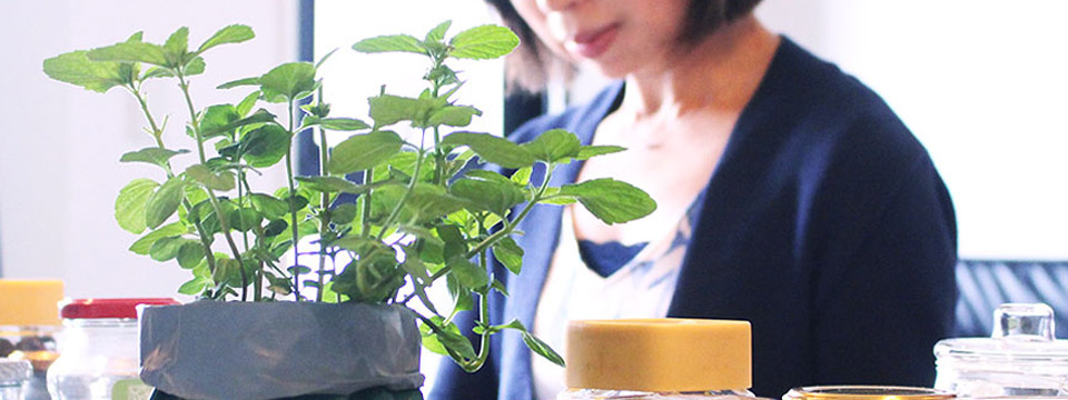 ハーブ栽培・園芸ライフ-クリエイポット